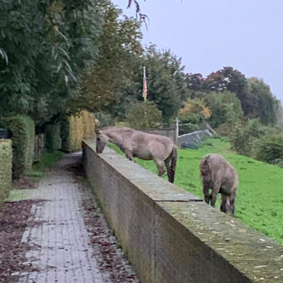 Hoeve Op De Meer มาสทริชท์ ภายนอก รูปภาพ